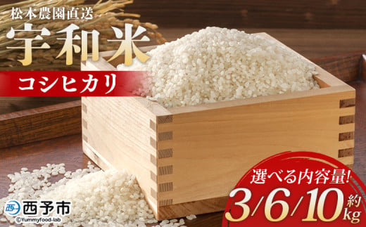 令和6年産 松本農園直送 宇和米(コシヒカリ)約3kg/6kg/10kg こしひかり 米 コメ こめ 白米 精米 うわまい ウワマイ ご飯 新鮮 3キロ 6キロ 10キロ 選べる お弁当 朝 昼 夜 国産 特産品 愛媛県 西予市[常温]