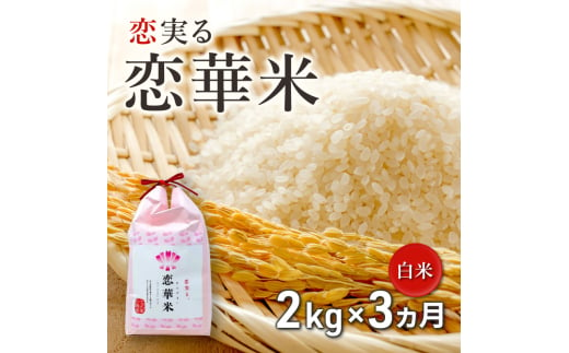 定期便 3回 ハニーベル 昔ながらの有機れんげ栽培 「恋華米」 2kg×3カ月