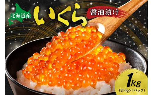 北海道産 いくら醤油漬け 1kg いくら 250g×4個 化粧箱入り イクラ 鮭いくら 醤油漬け 濃厚 鮭卵 魚卵 海鮮 魚介類 魚介 グルメ 冷凍 お取り寄せ 小分け パック 北海道 札幌市 1205590 - 北海道札幌市