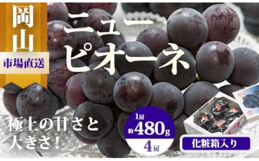 pp-59　【令和7年発送・先行予約】岡山県産　ニューピオーネ（1房480g以上・約2kg）4房 1509672 - 岡山県和気町