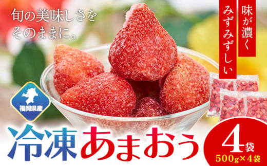 福岡県産 冷凍あまおう2kg(500g×4袋) 南国フルーツ株式会社《12月中旬-3月末頃出荷》福岡県 鞍手町 あまおう いちご イチゴ 送料無料【配送不可地域あり】 1553169 - 福岡県鞍手町