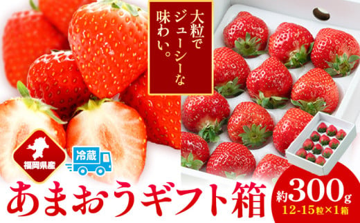 福岡県産 あまおう ギフト箱 約300g 南国フルーツ株式会社《12月上旬-3月末頃出荷》福岡県 鞍手町 あまおう いちご イチゴ 送料無料【配送不可地域あり】 1553170 - 福岡県鞍手町