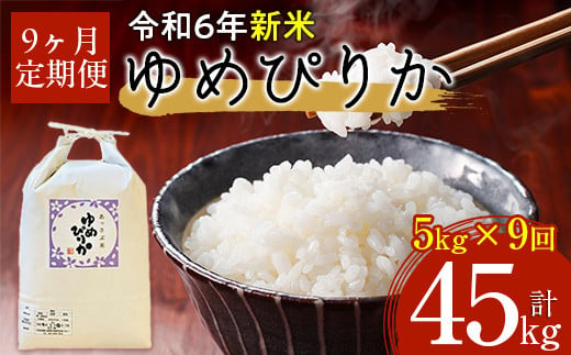 【令和6年産 新米】北海道厚沢部産ゆめぴりか45kg（5kg×9ヶ月連続お届け） 【 ふるさと納税 人気 おすすめ ランキング 米 ゆめぴりか ご飯 ごはん 白米 つや 粘り 北海道 厚沢部 送料無料 】 ASG008 680640 - 北海道厚沢部町