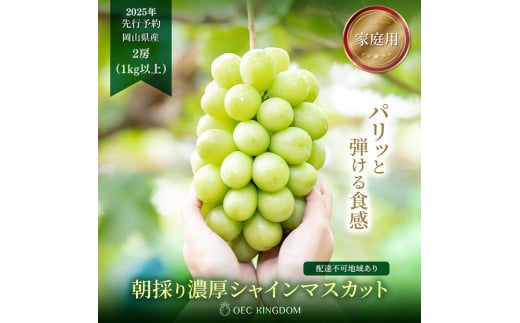 ぶどうのふるさと納税 カテゴリ・ランキング・一覧【ふるさとチョイス】 2ページ目