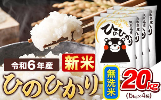 令和6年産 新米 早期先行予約受付中 無洗米 ひのひかり 20kg 《11月-12月より出荷予定》令和6年産 熊本県産 ふるさと納税 精米 ひの 米 こめ ふるさとのうぜい ヒノヒカリ コメ お米 おこめ 1553897 - 熊本県津奈木町