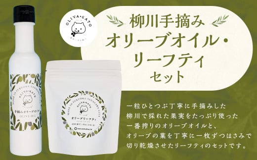 柳川 手摘み オリーブオイル 130ml・オリーブ リーフティ 24g セット お茶 ティーパック ノンカフェイン 調味料 油 オリーブ油 食用油 1547638 - 福岡県柳川市