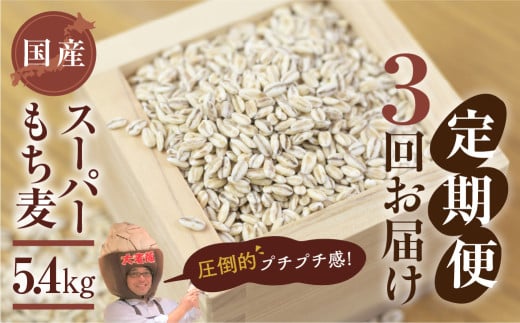 豊橋産スーパーもち麦　定期便 3回（1.8kg×3）