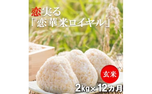 定期便 12回 ハニーベル 昔ながらの有機れんげ栽培 「恋華米ロイヤル」 玄米 2kg×12カ月