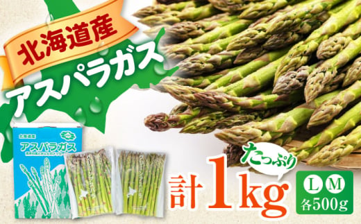 【2025年6月以降順次発送】 グリーンアスパラガス 1kg　（Ｌ・Ｍサイズ各500g）《喜茂別町》【Aコープようてい】 アスパラ 野菜 セット 詰め合わせ 北海道 春野菜 季節の野菜 先行予約 [AJAK002] 11000 11000円 1165332 - 北海道喜茂別町