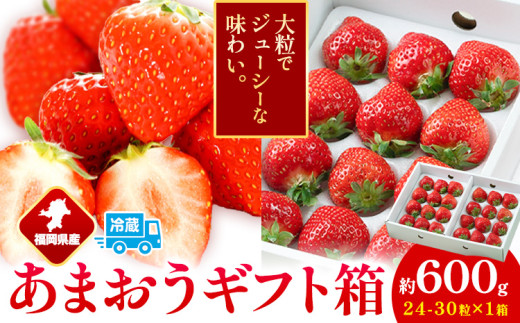 福岡県産 あまおう ギフト箱 約600g 南国フルーツ株式会社《12月上旬-3月末頃出荷》福岡県 鞍手町 あまおう いちご イチゴ 送料無料【配送不可地域あり】 1553171 - 福岡県鞍手町