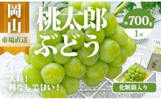 [令和7年発送・先行予約]岡山県産 桃太郎ぶどう1房(700g以上) 化粧箱入り