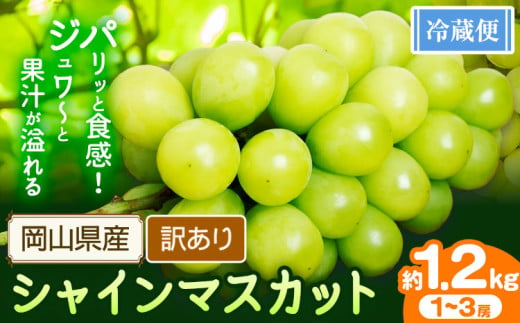 シャインマスカット訳あり  約1.2kg(1~3房)【先行予約】 花田青果株式会社《2025年9月上旬-10月末頃出荷》マスカット 送料無料 岡山県 浅口市 シャインマスカット ぶどう フルーツ 果物 贈り物 ギフト【配送不可地域あり】