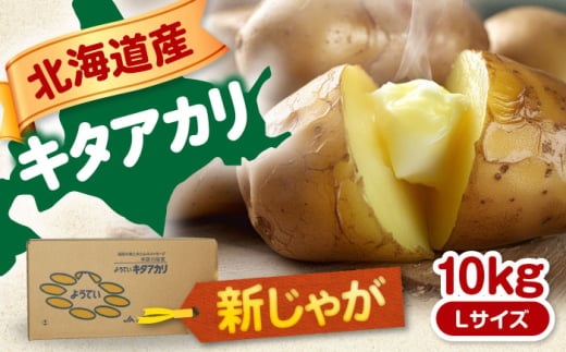 【9月下旬以降順次発送】 新じゃがいも キタアカリ 10Kg 《喜茂別町》【Aコープようてい】 ジャガイモ じゃがいも 野菜 季節の野菜 詰め合わせ 北海道 産地直送 [AJAK010] 10000 10000円 1万円 1257632 - 北海道喜茂別町