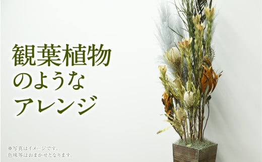 観葉植物のような アレンジ（縦約160cm×横約70cm×幅約70cm）ドライアレンジ ドライフラワー