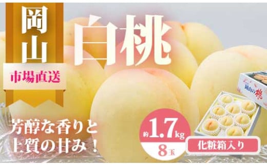 pp-60　【令和7年発送・先行予約】岡山県産　白桃8玉（合計1.7kg以上）　化粧箱入り 1509669 - 岡山県和気町