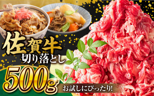 【2025年11月発送】艶さし！ 佐賀牛 切り落とし 肩orバラ 500g 吉野ヶ里町 [FDB006]