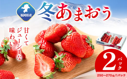 福岡県産 冬あまおう 2パック 南国フルーツ株式会社《12月上旬-1月末頃出荷》福岡県 小竹町 あまおう いちご イチゴ 送料無料【配送不可地域あり】 1552930 - 福岡県小竹町