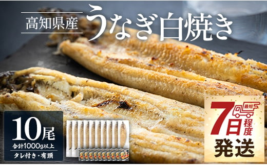 【7日程度で発送】 蒲焼きタレ付きうなぎ 白焼き 1kg以上 10尾×100～120g 鰻 大容量 国産 鰻 ウナギ 有頭 背開き つまみ ご飯のお供 老舗 土佐湾 吉川水産 うなぎ蒲焼き タレ付き 高知県 香南市 冷凍 yw-0082 1389660 - 高知県香南市