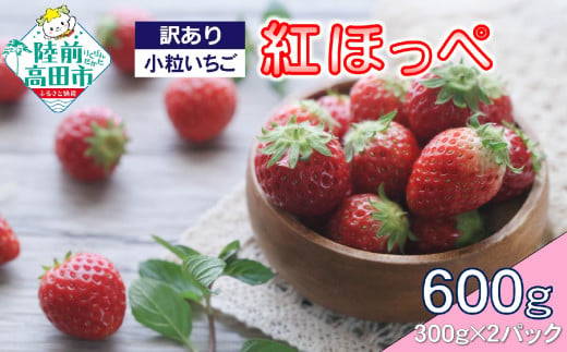 先行予約 【訳あり/小粒】新鮮いちご〈品種：紅ほっぺ〉 約600g (300g×2パック) Happy Strawberry 旬の時期に収穫してすぐ発送！ 【 いちご フルーツ 旬 小分け 人気 岩手 陸前高田 】2025年1月中旬頃から順次発送