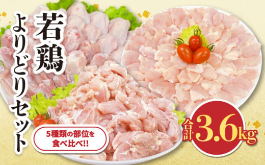 [チョイス限定]若鶏 よりどり セット 合計3.6kg 鶏肉 国産 チキン 鶏もも肉 切身 手羽先 手羽中 チキンリブ 手羽元 肩肉 人気 小分け 便利 おかず お弁当 おつまみ 食品 真空パック BBQ 唐揚げ お取り寄せ おすすめ ご褒美 記念日 お祝い おすそ分け 日南市 宮崎県 送料無料_CC56-24