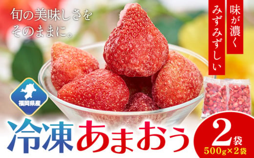 福岡県産 冷凍あまおう1kg(500g×2袋) 南国フルーツ株式会社《12月中旬-3月末頃出荷》福岡県 鞍手町 あまおう いちご イチゴ 送料無料【配送不可地域あり】 1553168 - 福岡県鞍手町