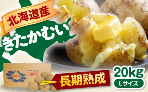 【2025年1月以降順次発送】 じゃがいも きたかむい 20Kg《喜茂別町》【Aコープようてい】 ジャガイモ 野菜 季節の野菜 詰め合わせ 北海道 産地直送 [AJAK013] 14000 14000円 1257635 - 北海道喜茂別町