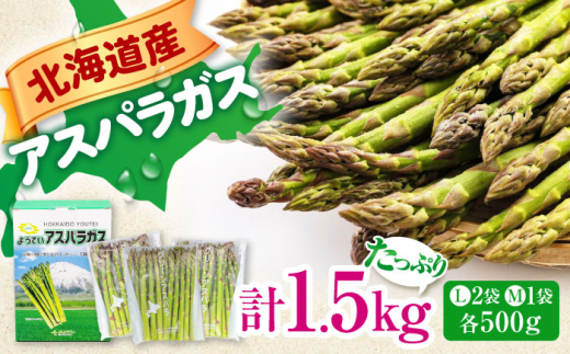 【2025年6月以降順次発送】 グリーンアスパラガス 1.5kg　（Ｌサイズ500g×２袋・Ｍサイズ500g）《喜茂別町》【Aコープようてい】 アスパラ 野菜 北海道 春野菜 季節の野菜 先行予約 [AJAK003] 16000 16000円 1165333 - 北海道喜茂別町