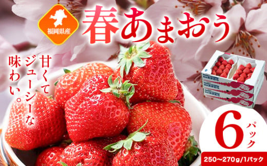 福岡県産 春あまおう 6パック 南国フルーツ株式会社《2月上旬-3月末頃出荷》福岡県 鞍手町 あまおう いちご イチゴ 送料無料【配送不可地域あり】 1553167 - 福岡県鞍手町