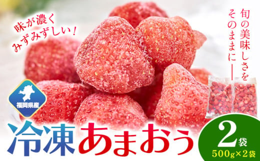 福岡県産 冷凍あまおう1kg(500g×2袋) 南国フルーツ株式会社《12月中旬-3月末頃出荷(土日祝除く)》福岡県 小竹町 あまおう いちご イチゴ 送料無料【配送不可地域あり】 1552976 - 福岡県小竹町