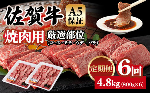 【定期便】佐賀牛 A5 焼肉用 厳選部位 800g 6回定期 計4.8kg(800gx6) 桑原畜産 ブランド牛 小分け 赤身 黒毛和牛 高評価 牛肉 人気 佐賀県 小城市  1552908 - 佐賀県小城市