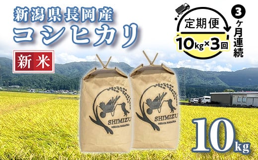 N5-103【3ヶ月連続お届け】新潟県長岡産コシヒカリ10kg