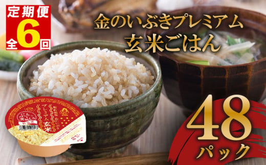 定期便 6回 玄米ごはんパック 120g 48個 玄米 米 お米 ごはん ご飯 こめ パックライス パックご飯 パックごはん ご飯パック ごはんパック パック ライス 備蓄 保存 非常 防災 電子 レンジ 温めるだけ レンチン 簡単 健康 ダイエット 美容 ヘルシー 48 48食 レトルト インスタント おいしい 人気 おすすめ 金のいぶき 大阪府 松原市 1550921 - 大阪府松原市