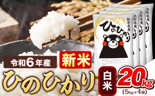 令和6年産 新米 早期先行予約受付中 白米 ひのひかり 20kg 《11月-12月より出荷予定》令和6年産 熊本県産 ふるさと納税 精米 ひの 米 こめ ふるさとのうぜい ヒノヒカリ コメ お米 おこめ 1553896 - 熊本県津奈木町