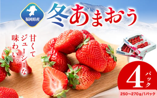 福岡県産 冬あまおう 4パック 南国フルーツ株式会社《12月上旬-1月末頃出荷》福岡県 小竹町 あまおう いちご イチゴ 送料無料【配送不可地域あり】 1552931 - 福岡県小竹町