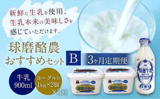 【3ヶ月定期便】球磨酪農おすすめセットB （瓶牛乳&ヨーグルト加糖×2個） 乳製品