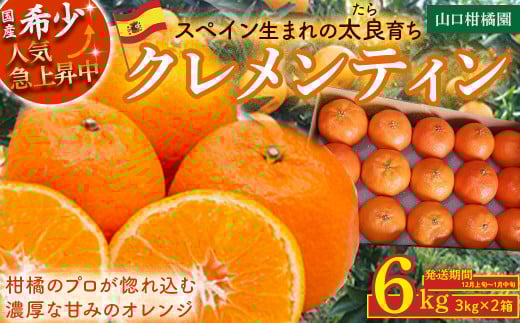 スペイン生まれのたら育ちクレメンティン 6kg クレメンティン みかん 柑橘 国産 オレンジ マンダリン 希少 ジューシー ギフト 贈り物 佐賀県 太良町 ND2 509440 - 佐賀県太良町