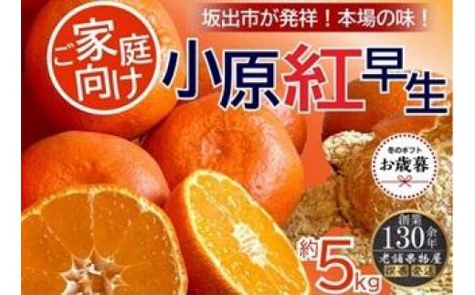 【お歳暮ギフト】ご家庭向け！小原紅早生みかん　約５ｋｇ【坂出発祥の真っ紅なお蜜柑】 1552141 - 香川県坂出市