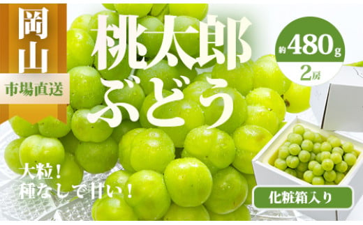 [令和7年発送・先行予約]岡山県産 桃太郎ぶどう2房(1房480g以上) 化粧箱入り