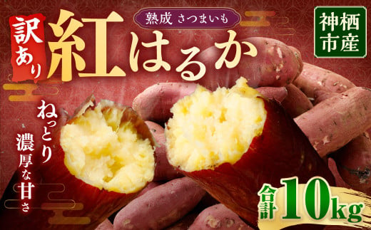 【 訳あり 】“熟成” 茨城県産 神栖市産 さつまいも 【 紅はるか 】 約10kg 芋 いも サツマイモ 野菜 やさい 国産 【2024年12月上旬より順次発送開始】 1440481 - 茨城県神栖市