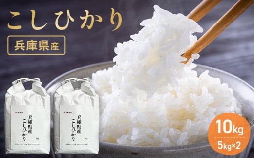 お米 令和6年産 兵庫県産コシヒカリ10kg(5kg×2) 米 お米 新米 こめ コメ 白米 兵庫県 伊丹市[№5275-0202] 755894 - 兵庫県伊丹市