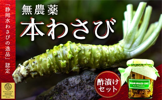 藤井わさび園の「無農薬本わさび・わさびの茎二杯酢漬セット」 山葵 ワサビ 無添加 茎 酢漬け 薬味 西伊豆 静岡 選べる 「静岡水わさびの逸品」認定 1555182 - 静岡県西伊豆町