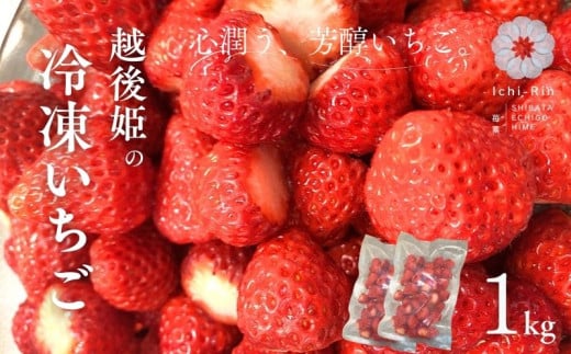 [数量限定] 冷凍いちご 500g 2袋 1kg 越後姫 いちご 苺 ブランド 旬 果物 くだもの 人気 冷凍フルーツ フルーツ デザート 冬 お取り寄せ 農家直送 Ichi-Rin 苺禀 新潟県 新発田市 ichirin003