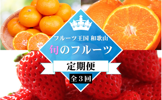 【全3回定期便】フルーツ大国和歌山よりお届け！旬のフルーツ定期便A【田村みかん・まりひめ・紀州デコ】 / フルーツ 果物 みかん いちご  旬 定期便  【tkb350】 1527928 - 和歌山県すさみ町