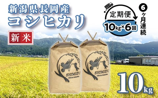 N5-106【6ヶ月連続お届け】新潟県長岡産コシヒカリ10kg