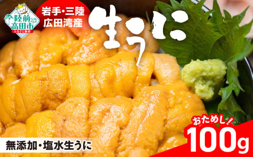 【先行予約 / 個数限定】 生うに 100g ( 塩水パック ) 獲れたその日に出荷！ 【 ムラサキウニ 無添加 天然 濃厚 ミョウバン不使用 おためし 数量限定 三陸産 】2025年5月下旬頃から順次発送予定 1309243 - 岩手県陸前高田市