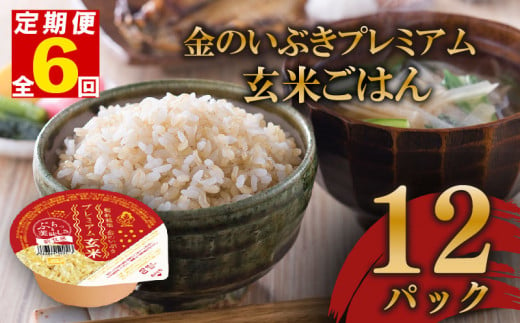 定期便 6回 玄米ごはんパック 120g 12個 玄米 米 お米 ごはん ご飯 こめ パックライス パックご飯 パックごはん ご飯パック ごはんパック パック ライス 備蓄 保存 非常 防災 電子 レンジ 温めるだけ レンチン 簡単 健康 ダイエット 美容 ヘルシー 12 12食 レトルト インスタント おいしい 人気 おすすめ 金のいぶき 大阪府 松原市 1550918 - 大阪府松原市