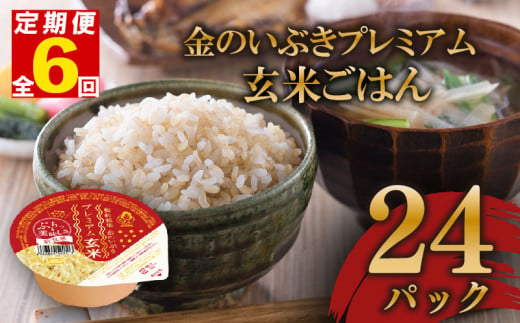 定期便 6回 玄米ごはんパック 120g 24個 玄米 米 お米 ごはん ご飯 こめ パックライス パックご飯 パックごはん ご飯パック ごはんパック パック ライス 備蓄 保存 非常 防災 電子 レンジ 温めるだけ レンチン 簡単 健康 ダイエット 美容 ヘルシー 24 24食 レトルト インスタント おいしい 人気 おすすめ 金のいぶき 大阪府 松原市 1550919 - 大阪府松原市