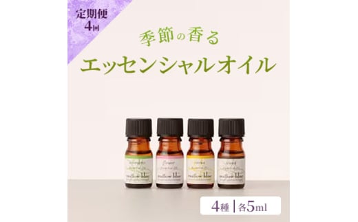 定期便 4回 アロマ オイル 季節の香る オリジナル ブレンドアロマ エッセンシャルオイル 4種 各5ml アロマオイル (3ヶ月に一度) 【ポスト投函】 1552962 - 福岡県小郡市