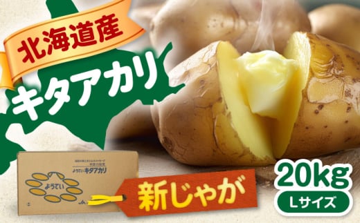 【9月下旬以降順次発送】 新じゃがいも キタアカリ 20Kg 《喜茂別町》【Aコープようてい】 ジャガイモ じゃがいも 野菜 季節の野菜 詰め合わせ 北海道 産地直送 [AJAK011] 14000 14000円 1257633 - 北海道喜茂別町