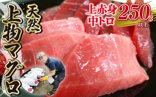 天然 マグロ 2種 250g 以上  刺身 上物 まぐろ 鮪 赤身 中トロ 冷凍 静岡県 藤枝市 733748 - 静岡県藤枝市